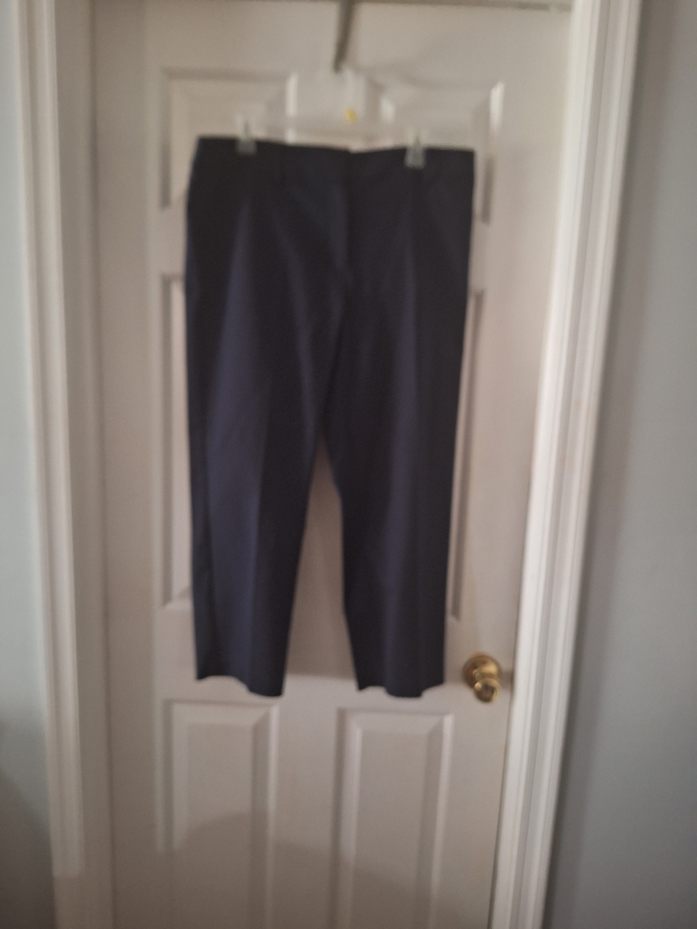 LOFT Riviera Curvy Slim Dress Pants in Navy